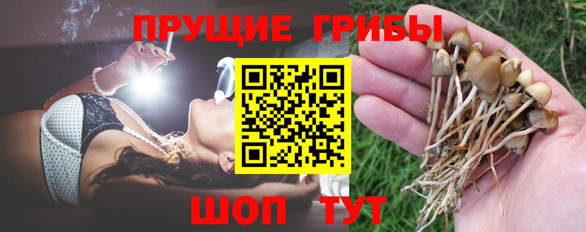 Псилоцибиновые грибы GOLDEN TEACHER Красногорск